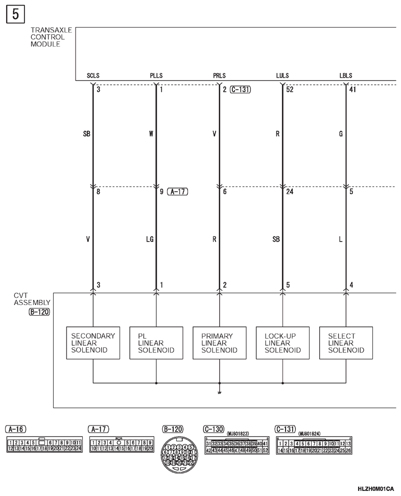 G13346147