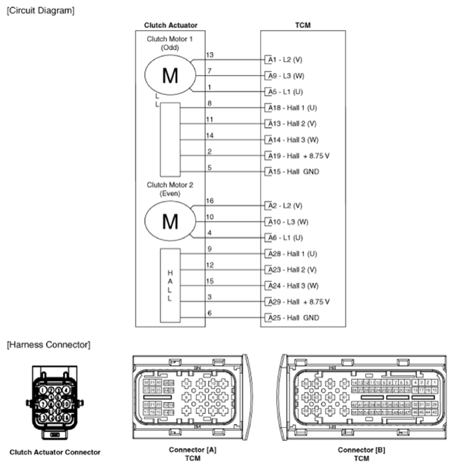 G13349121