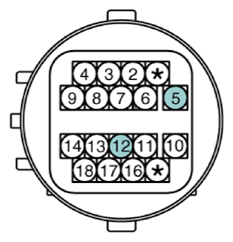 G13362102