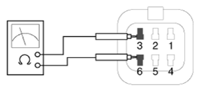 G13364491