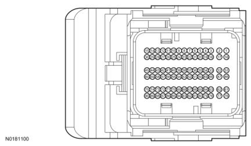 G13373325