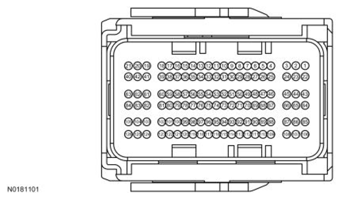 G13373326