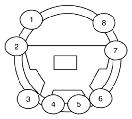 G13374048