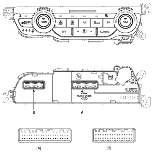 G13376048
