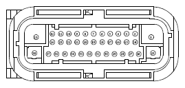 G13379346