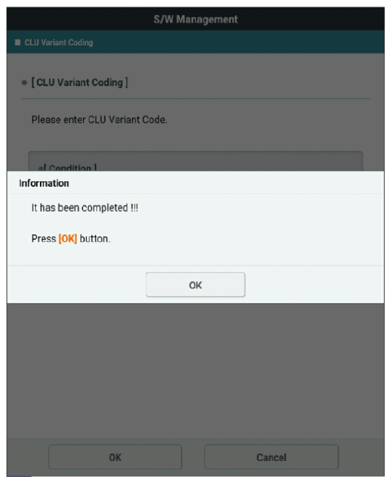 G13384671