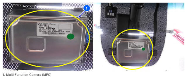 G13386076