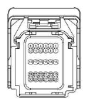 G13402528