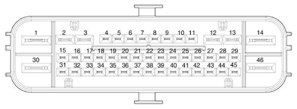 G13404477