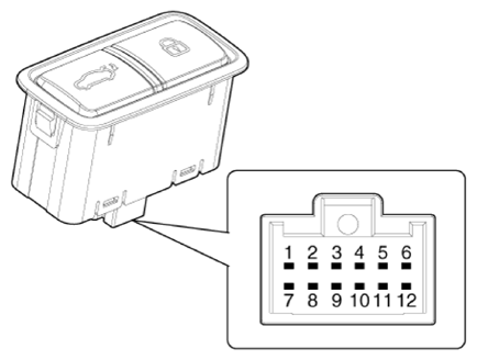 G13405482