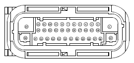 G13419248