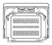 G13419251