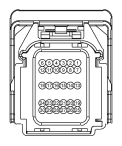 G13419252
