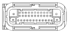 G13419253