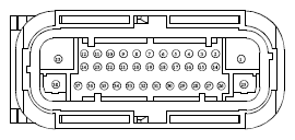 G13419276