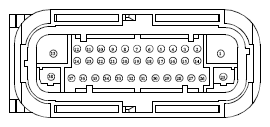 G13419279