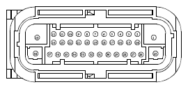 G13419284