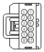 G13419289