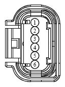 G13419302