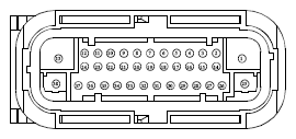 G13419311