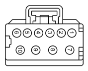 G13419334