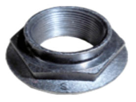 G13424389