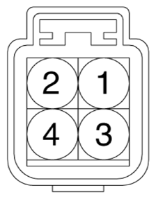 G13428185
