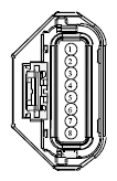 G13433362