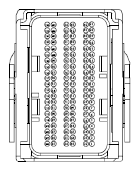 G13433424