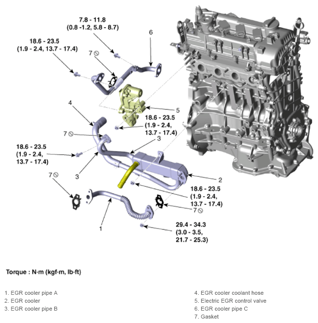 G13436242