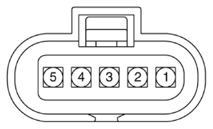 G13436557
