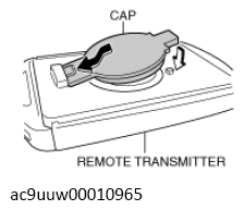 G13449377