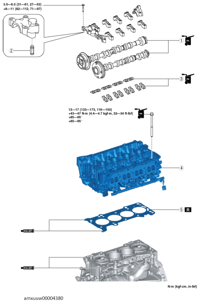 G13487843