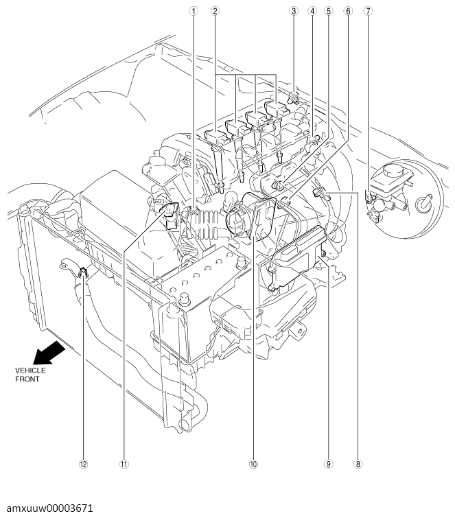 G13488453