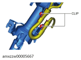 G13489662