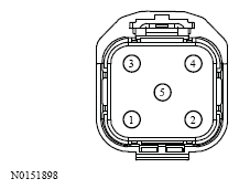 G13533029