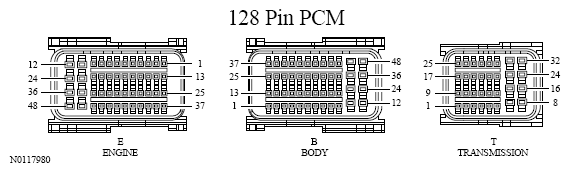 G13533491