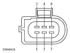 G13533559