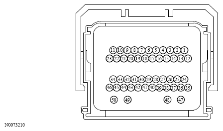 G13533592