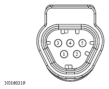 G13533613