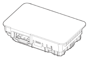 G13541784