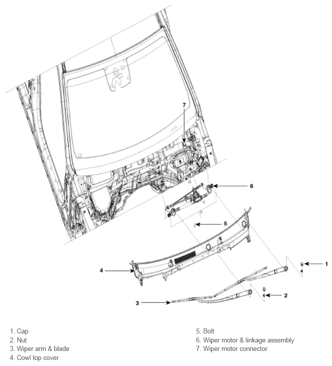 G13542061