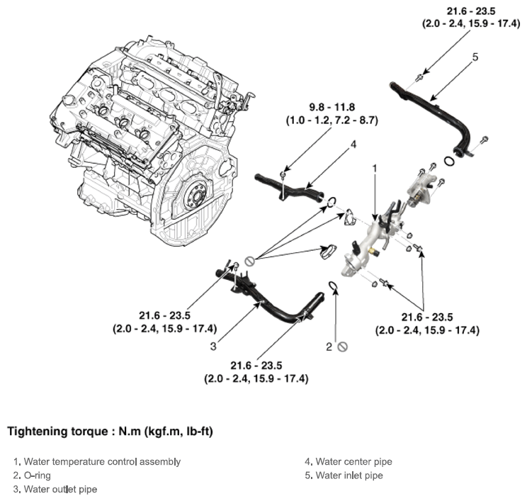 G13542898