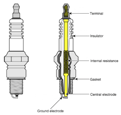 G13543193