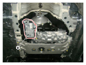 G13548153
