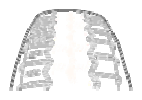 G13548457