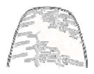 G13548462