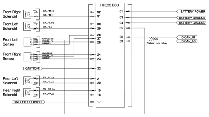 G13548646
