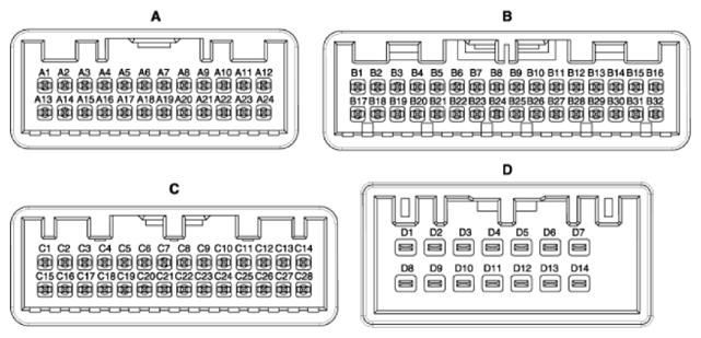 G13548718