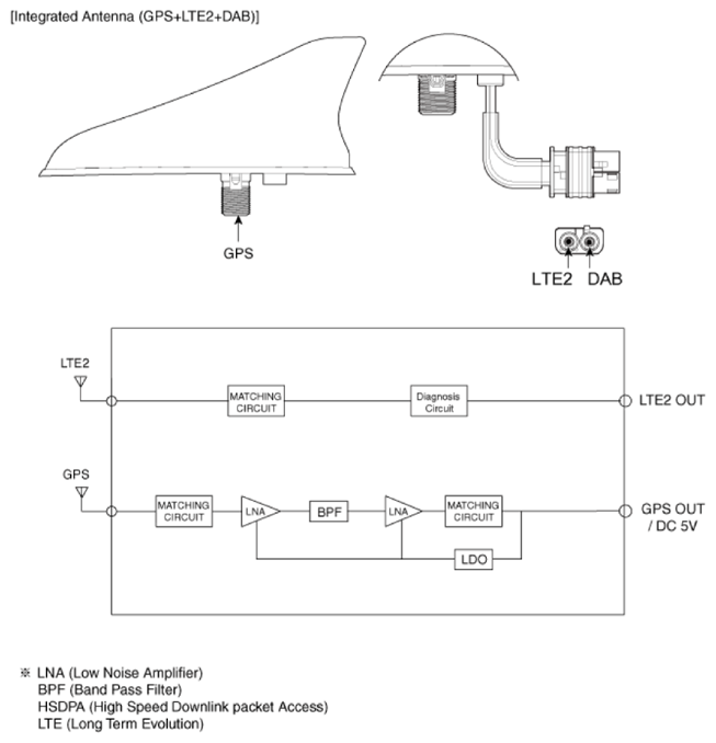 G13549721